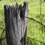 Fencepost