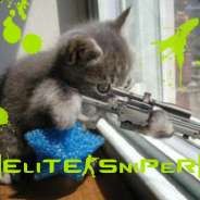 |ElitE-SniPeR|