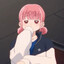 hina apologist