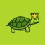 Turtleking10