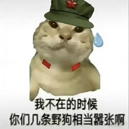 共和国最锋利的剑