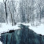 neve
