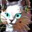 Avatar of player lower