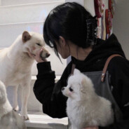 你伤到我了丫头