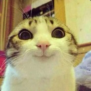 不会唱小星星的404 Not Found avatar