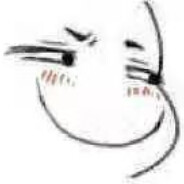 我爱我的夏添Y头