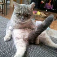 以后不许这样了