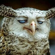 Stervak =) - steam id 76561199184322732