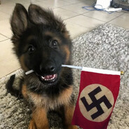 hitlerware.gg avataras