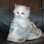 Leasing Schuh Gato