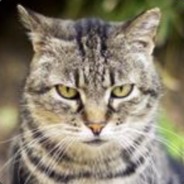 rgbpe - steam id 76561197960805845