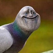 Pigeon Sex avatar