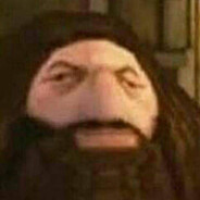 PS1 Hagrid
