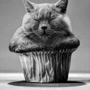 Mufki