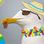 SuicidalSeagull