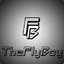 TheFlyBoyDE