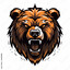 BearX