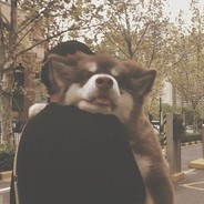 天气不似预期”