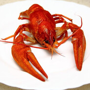 Ракообразное