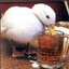 DuckDice