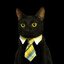 Gato Con Corbata