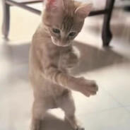 美式佐助爱上日本少妇