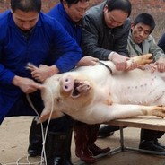 大号先锋，这是小号