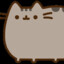 󠁳⁧⁧ 0.9kd