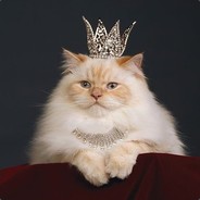 °♡✧*Қคƭ*✧♡° ^-.-^