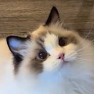 32岁纯情小妈