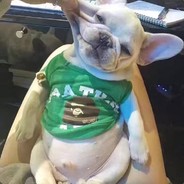Big Avatar
