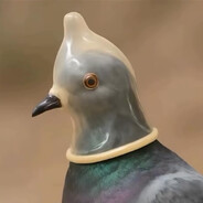 Golubiro Condomiro