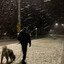 拔刀能留住落樱么