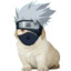 kakashi_Tei_Tei