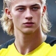 ZI존엘링홀란드