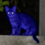 El Gato Azul