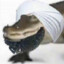Allah Gator