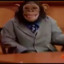 ChimpanNewsChannel