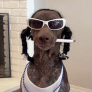 Snoop Dog