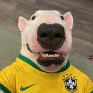 DOGINHOOO - steam id 76561199081510659