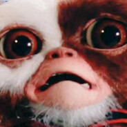 Cao ni Mogwai
