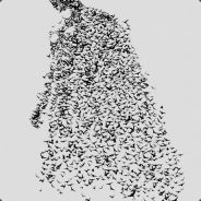 模型好才是真的好