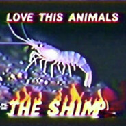 the shimp