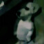 PIMPOLHO