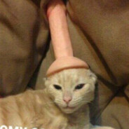 Тухлодырое дрисл