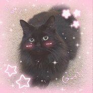 YungCat12