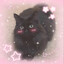 YungCat12