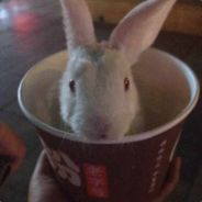 这波我很强！！！