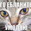 $Митяй!()"