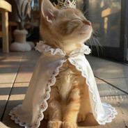 ♥Alexika♥ (っ◔◡◔)っ